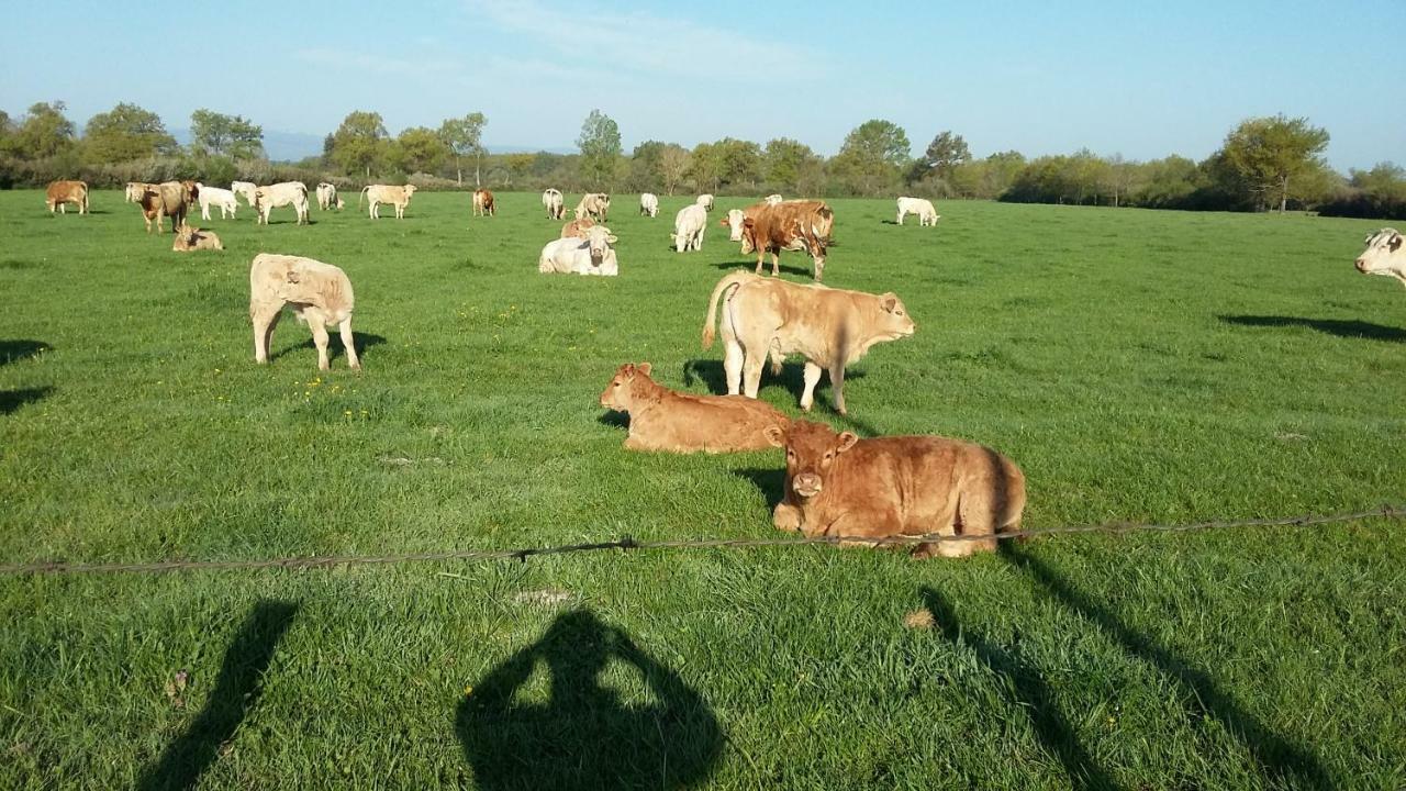 ValeilleLa Ferme Du Nizonアパートメント エクステリア 写真
